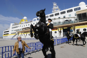 Un visitante apreciando la cabriola de uno de los caballos. FOTO.- Tolo Mercadal