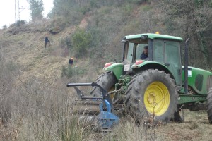 Neteja massa forestal-2