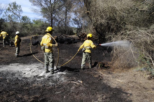 incendio en es grau