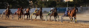 Llegada de la quinta carrera.