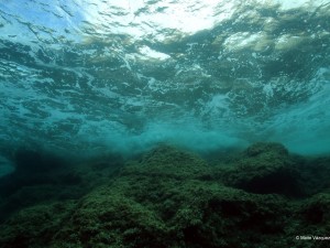 Los investigadores del proyecto Life+Indemares han inventariado el fondo marino del Canal de Menorca