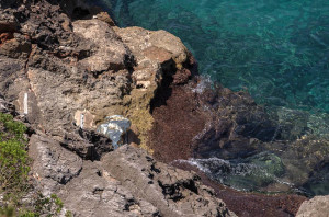  Zona en la que el hombre de mediana edad se ha ahogado (Foto: Karlos Hurtado)