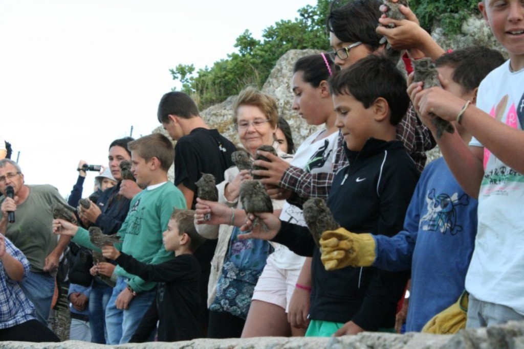 Suelta de 'mussols' Foto GOB-Menorca