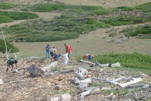 Limpieza en s'Estany de Mongofra Nou. Fotos: GOB-Menorca.