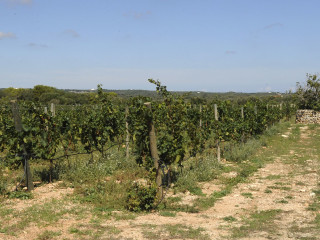 El vino  de Menorca salta a las redes sociales