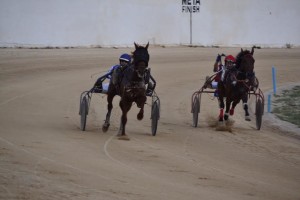 Imagen de una de las carreras de la jornada.