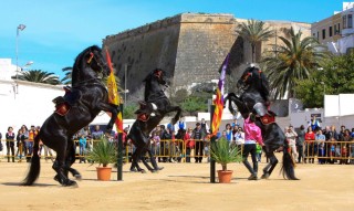 Caballos menorquines en una exhibición en es Pla de Ciutadella. Foto: Escola Eqüestre Menorquina.