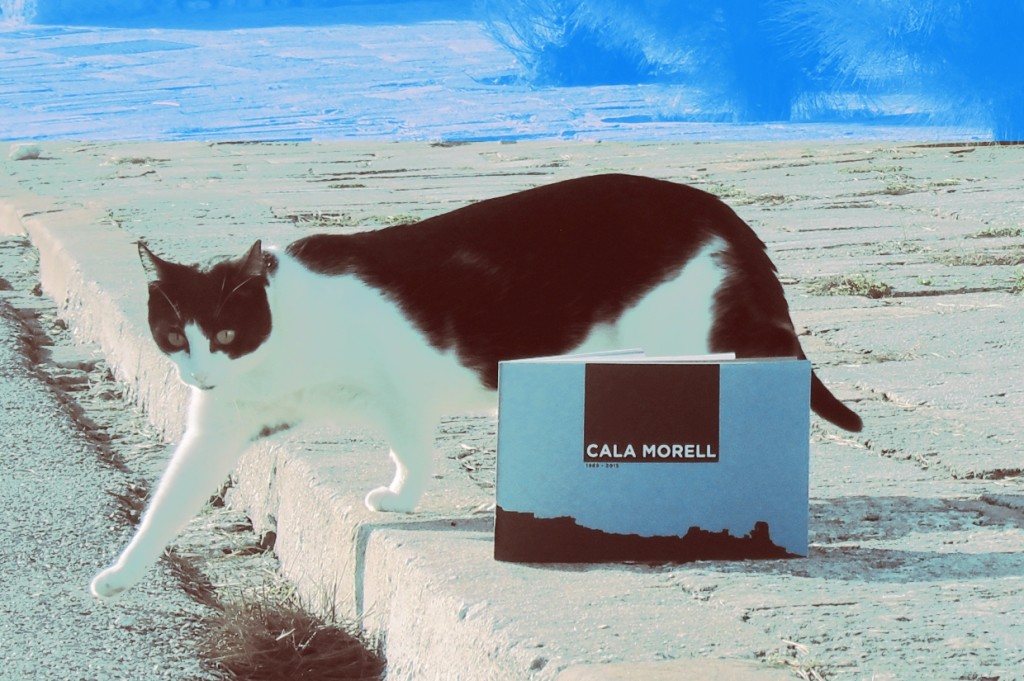 Imagen de la portada del libro sobre Cala Morell.