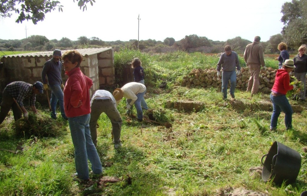 Limpieza de un corral en Son Tarí Nou. Foto: GOB-Menorca.