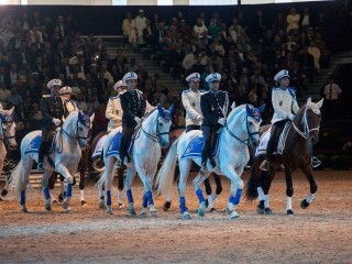 Los caballos menorquines ya lucen en Marruecos