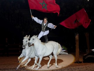 Los caballos menorquines ya lucen en Marruecos