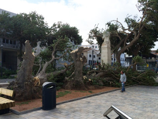 Paisaje tras la tormenta