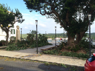 Paisaje tras la tormenta