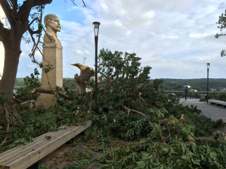 Paisaje tras la tormenta