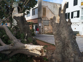 Paisaje tras la tormenta