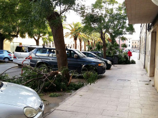 Paisaje tras la tormenta