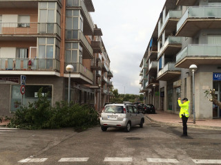 Paisaje tras la tormenta