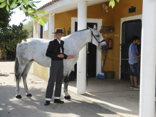 Fer Quebranto y Afilada  triunfan en Son Martorellet como caballos de raza española