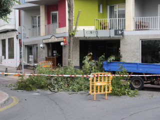 Retiran otro árbol debido al temporal