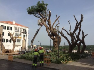 La nueva imagen de la plaza Miranda