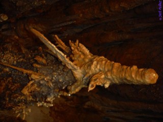 Formación que identifica la cueva del Dragón. Foto: José Muñoz Llopis.