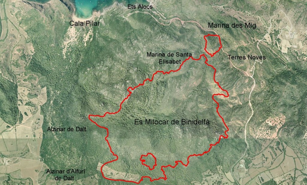 Mapa del incendio de 2006 en Es Milocar. Foto: OBSAM.