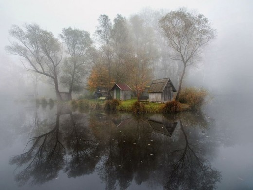 Así son 16 de las mejores fotos 2015 del National Geographic