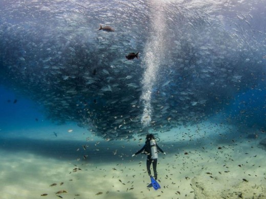 Así son 16 de las mejores fotos 2015 del National Geographic