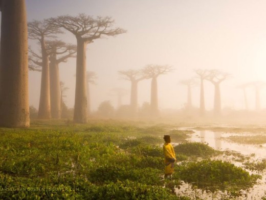 Así son 16 de las mejores fotos 2015 del National Geographic