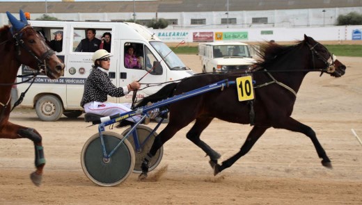 Sacarés, ganador de la sexta carrera (Fotos: Miquel Carreras)