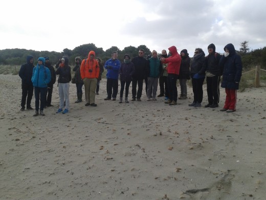 Momento de la actividad organizada sobre los sistemas dunares. Foto: Parc Natural de s'Albufera des Grau.
