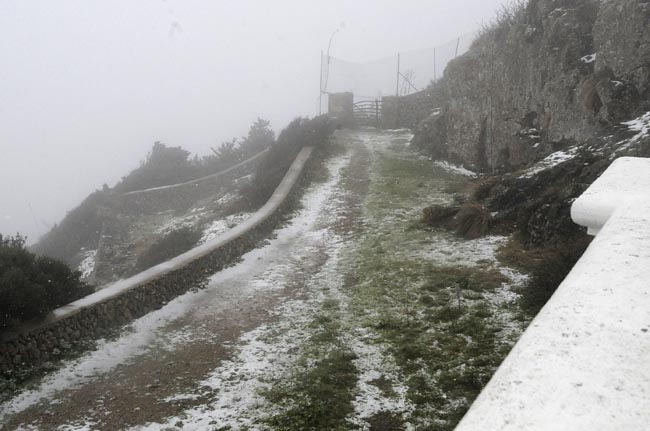 Nieve en Monte Toro (Foto: Tolo Mercadal)