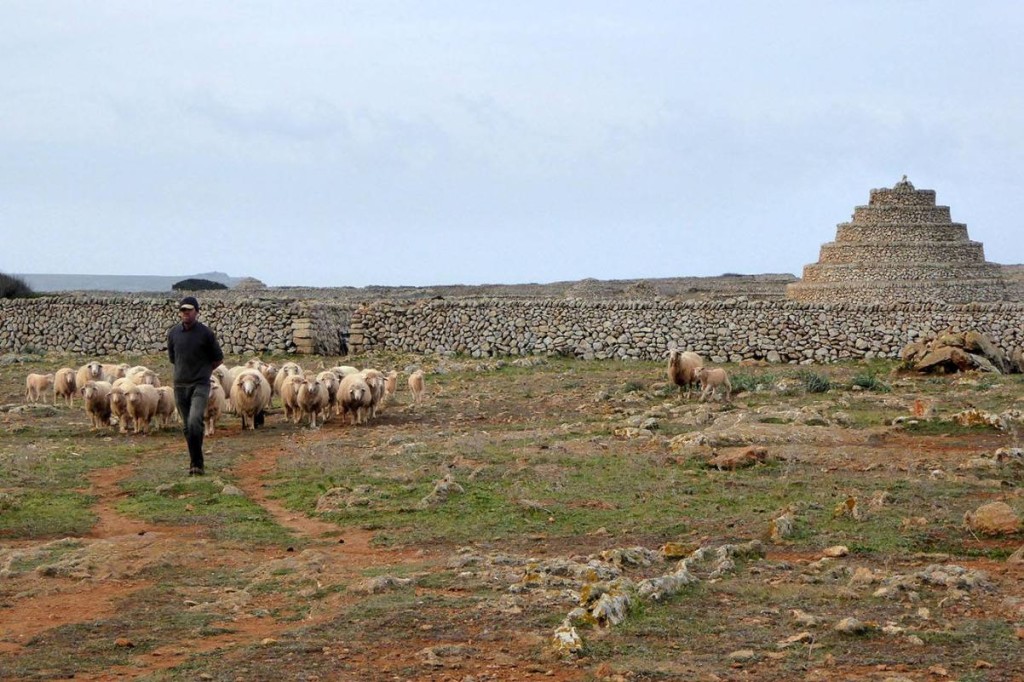 Bellísima estampa que se dio durante la excursión por la zona de Punta Nati a finales de enero. Foto: SHA Martí i Bella.