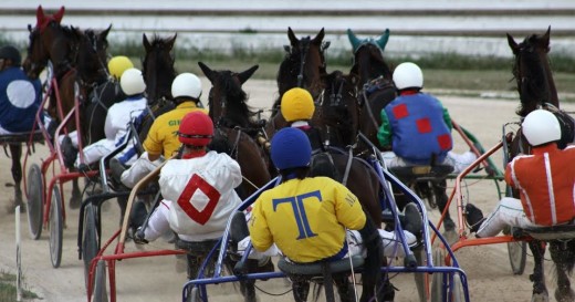 Interesante jornada en el hipódromo de Ciutadella.