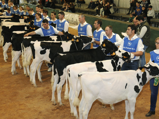 La primera jornada de la Fira del Camp se salda con una gran asistencia de público y un excelente concurso morfológico