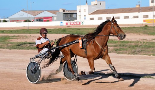 Beatiful Dream en pena carrera (Fotos: Miquel Carreras)