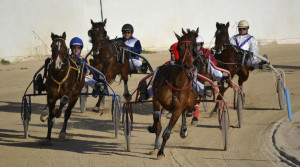 Carrera en el hipódromo de Ciutadella.