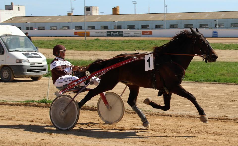 Dream a Dream en plena carrera.