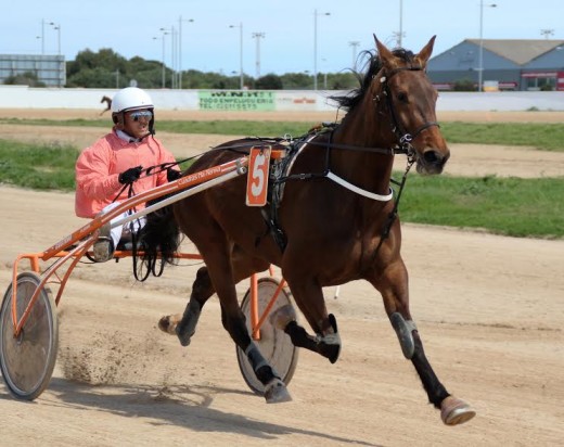 Cuore des Pres en acción en el hipódromo de Maó.