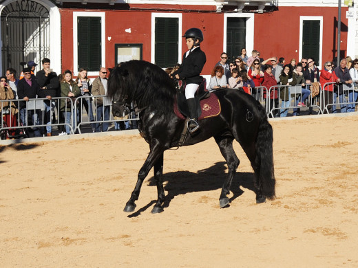 La feria de abril luce caballos menorquines (vídeo y fotos)