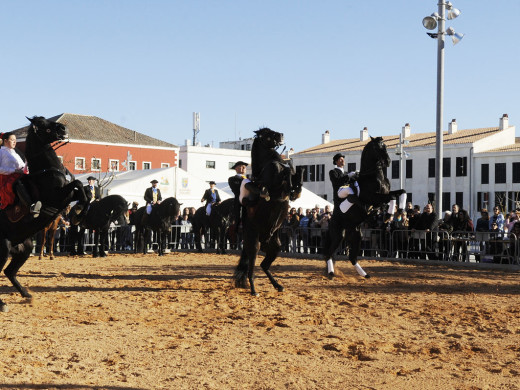 La feria de abril luce caballos menorquines (vídeo y fotos)