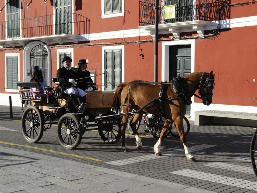 La feria de abril luce caballos menorquines (vídeo y fotos)