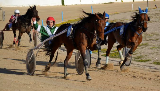 Triay, logrando el triunfo con Bilma.