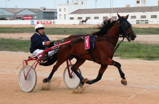 Bella de Magia en plena carrera.