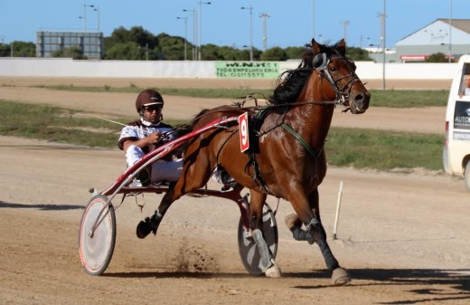 Amour Dream en plena carrera.