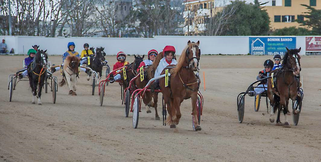 Imagen la prueba de Mini Trot tarde, con victoria para Ona Mata Seguí (Fotos: Carlos Orfila)