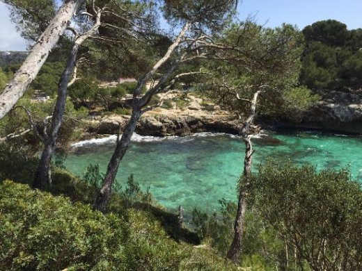 Imagen de uno de los tramos del Camí de Cavalls a su paso por Cala Galdana