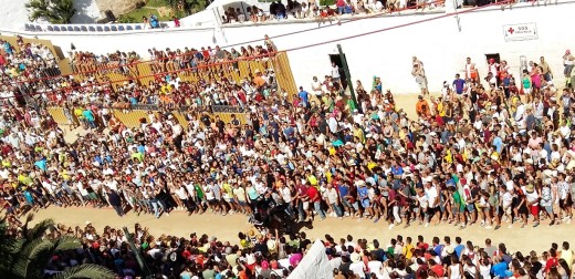 Uno de los cavallers que ha acertado s'ensortilla en los ensayos de la mañana. Foto: Joan Mascaró M.