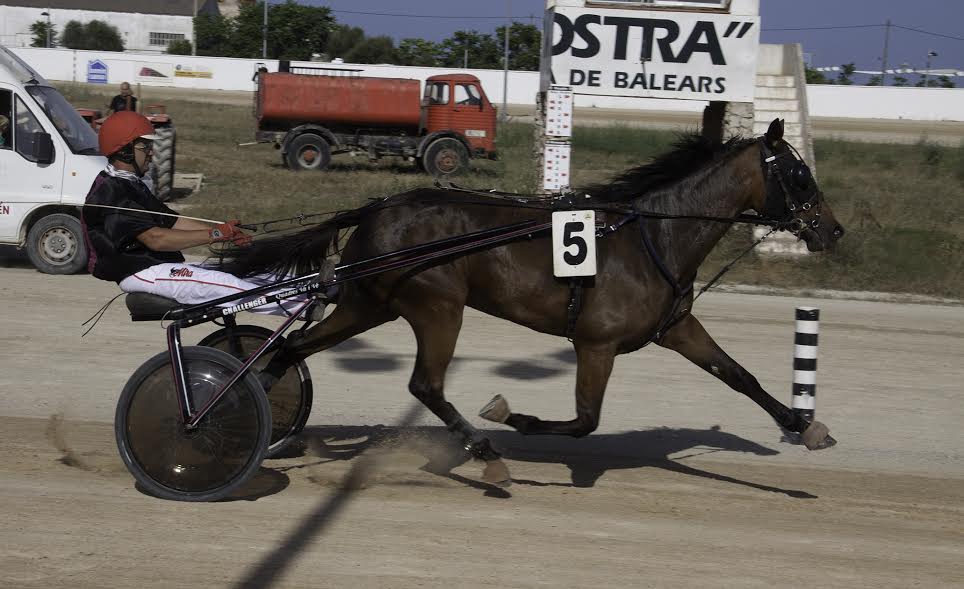 Estella Va i Ve, en un momento de la carrera (Fotos: Carlos Orfila)