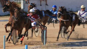 Carreras en Torre del Ram